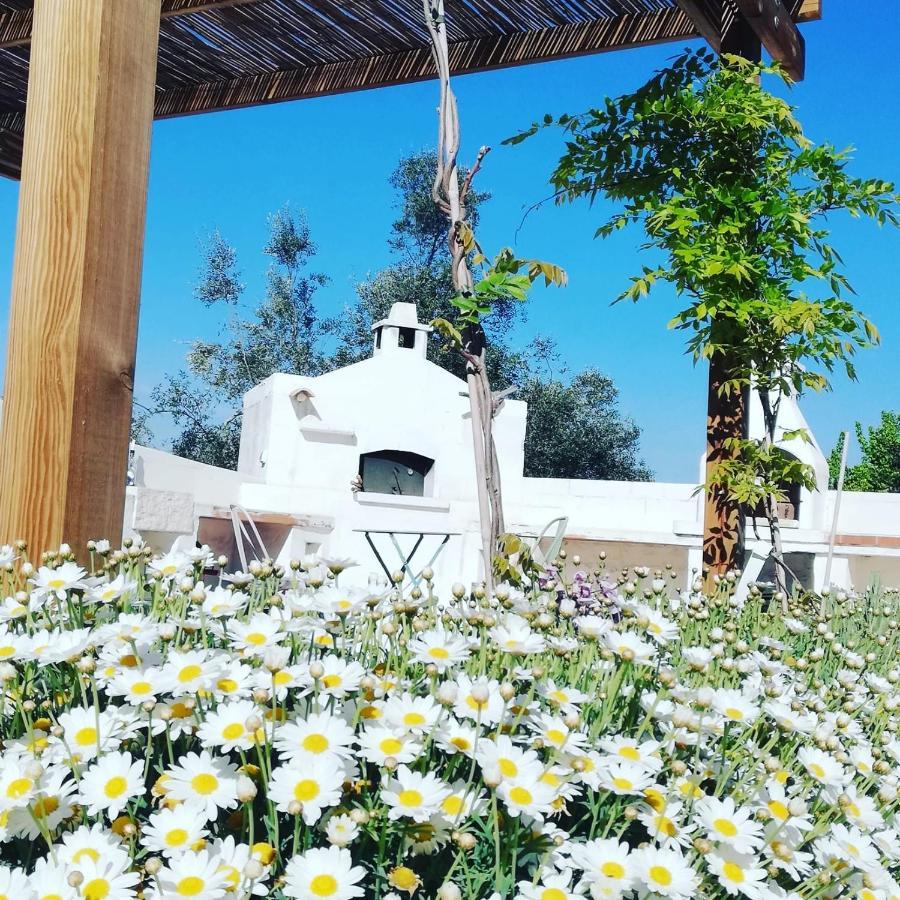 B&B Giovannarolla Green House Ostuni Eksteriør billede