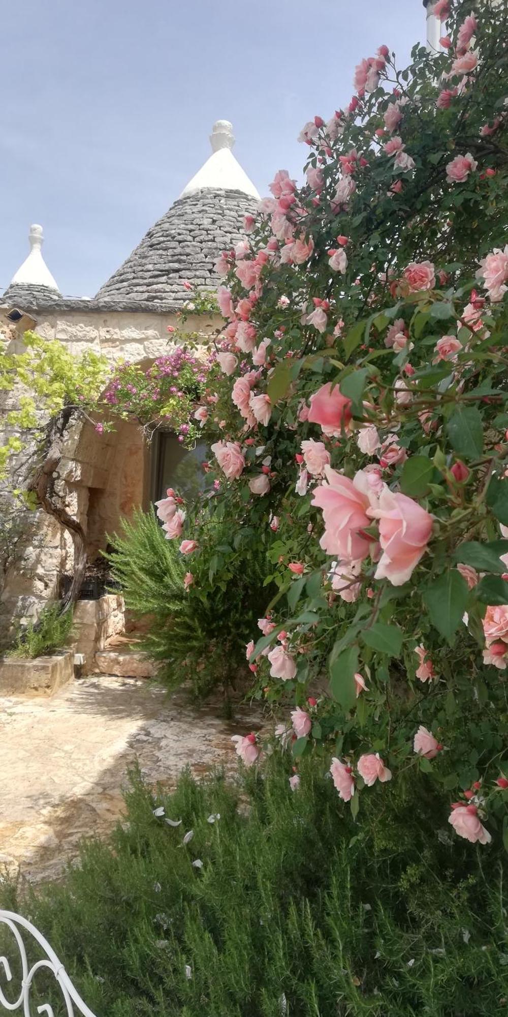 B&B Giovannarolla Green House Ostuni Eksteriør billede