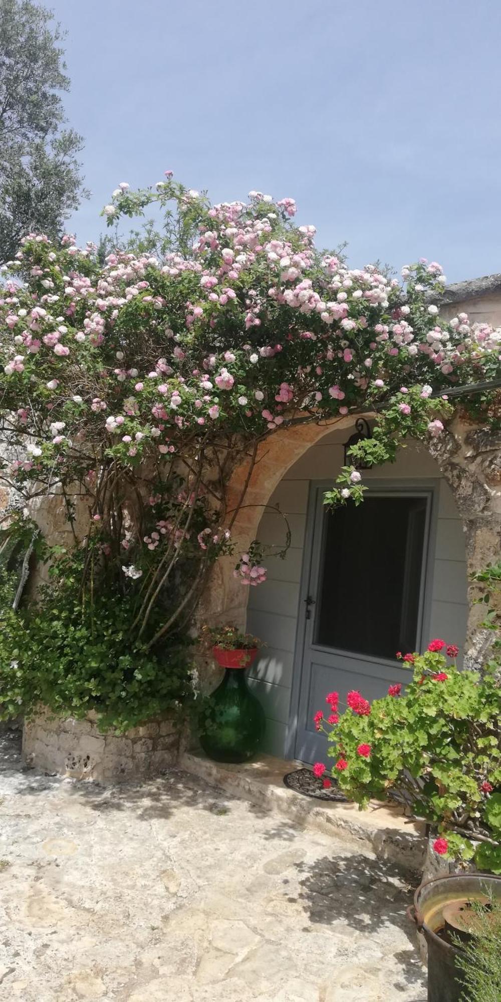 B&B Giovannarolla Green House Ostuni Eksteriør billede