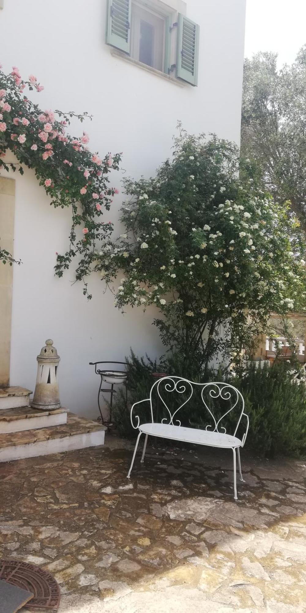 B&B Giovannarolla Green House Ostuni Eksteriør billede