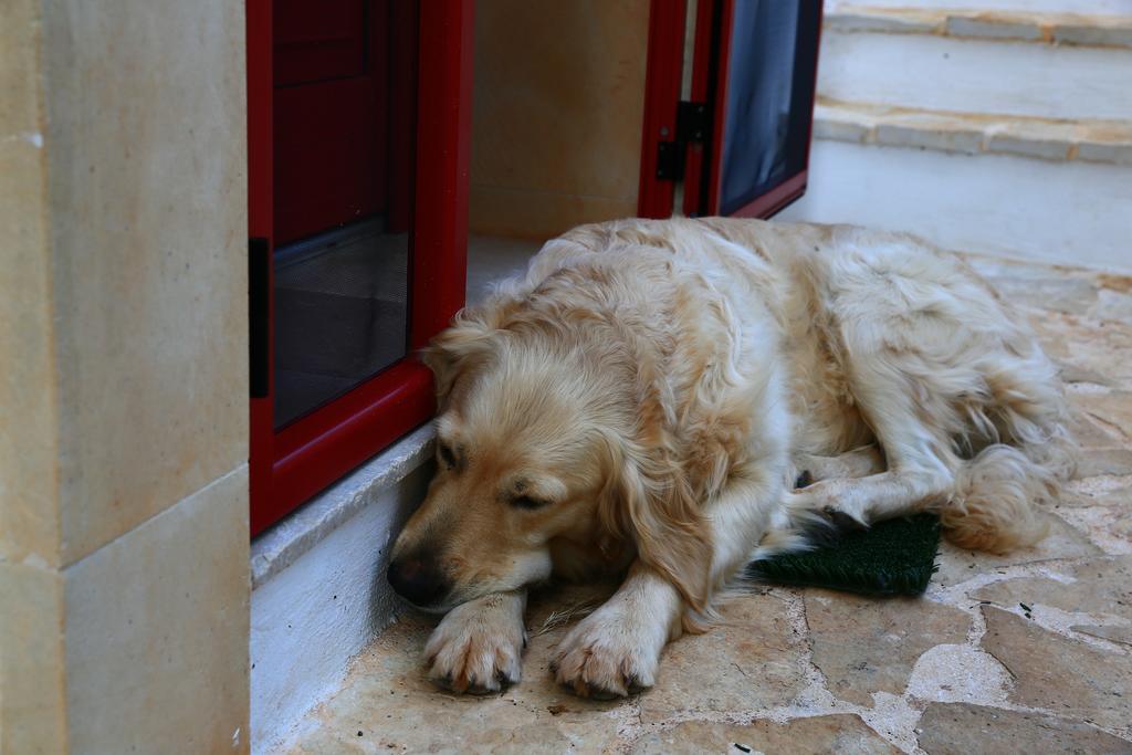 B&B Giovannarolla Green House Ostuni Eksteriør billede